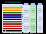 12 Taekwondo Belt Order to Master Your Craft