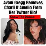 Avani Gregg Shuts Down Charli Damelio Drama Rumors