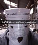 Boo Did I Scare You Job Application