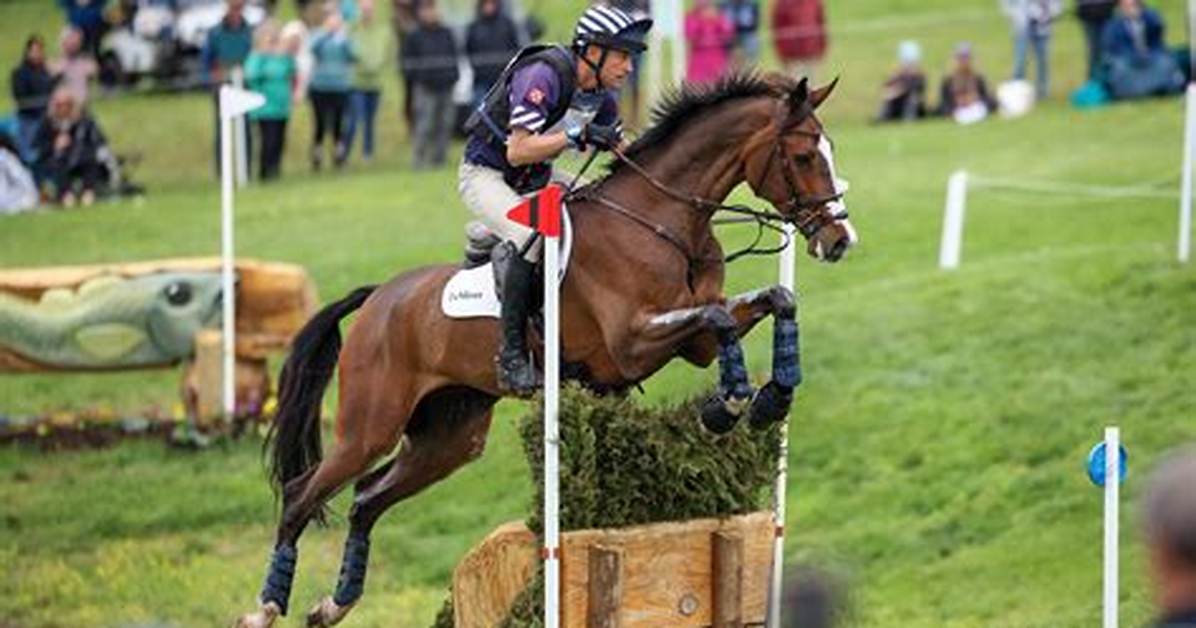 Boyd Martin |