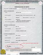 Caitlin Clark's Birth Certificate Unveiled