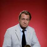 Darren Mcgavin Net Worth |