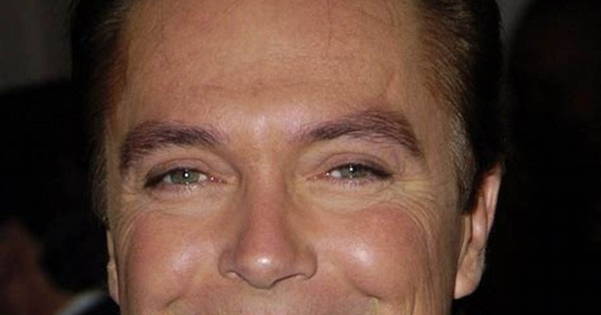 David Cassidy: the Life and Legacy of a Pop Culture Icon