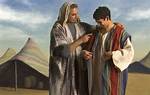 Discover the Story of His Father