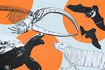 Discover Who Lived the Longest