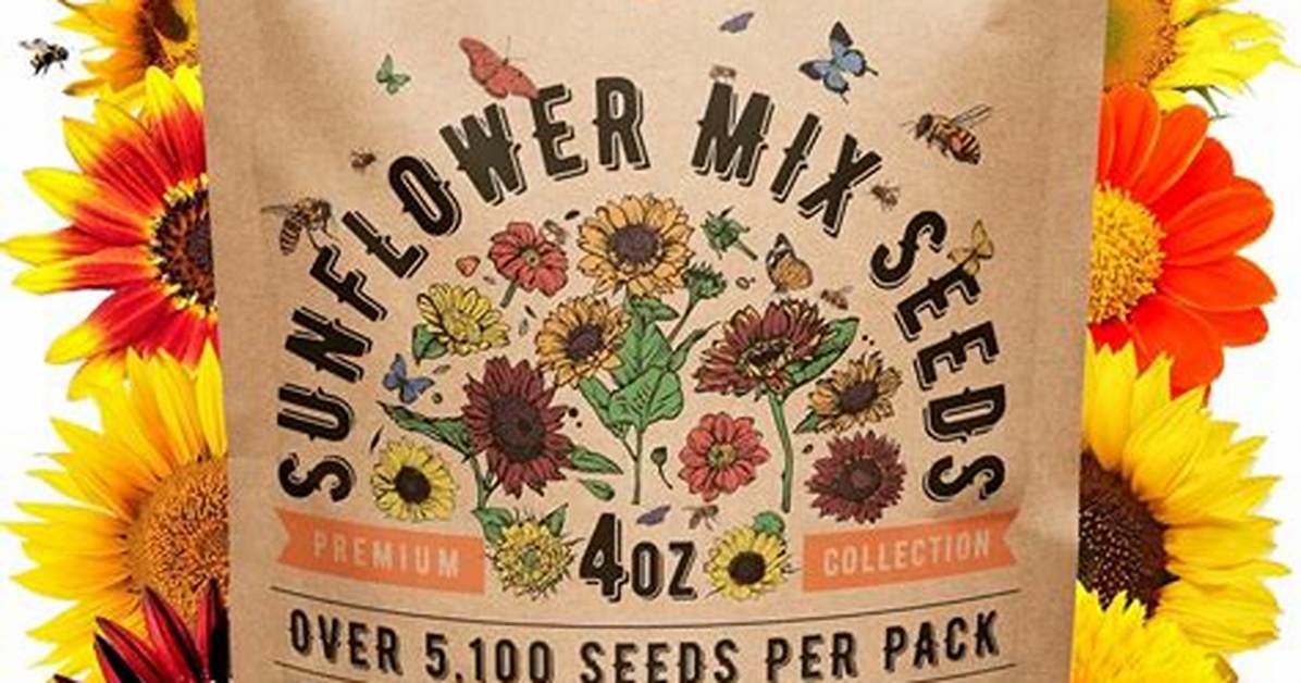 Discovering the Best Whole30 Sunflower Seeds Manufacturer