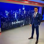 Discovering the Enigmatic Life of Rob Schmitt's Wife