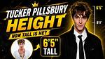 Discovering the Height of a Role Model