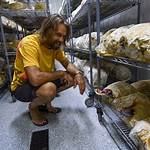 Discovering the Life of Jake Plummer's Wife