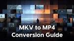 Discovering the World of Mkv Movies Point