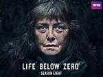 Dive into the Life Below Zero: Cole Sturgis and His Wife's Journey