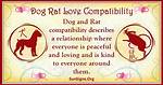 Dog and Rat Compatibility: Flirty Connection