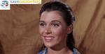 Donna Baccala Age, Birthday, Wikipedia, Who, Nationality, Biography