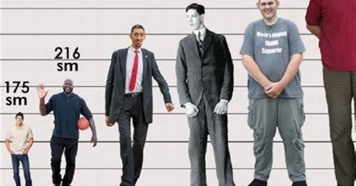 Dr Peppers Height Comes in at Just over 5-Feet Tall