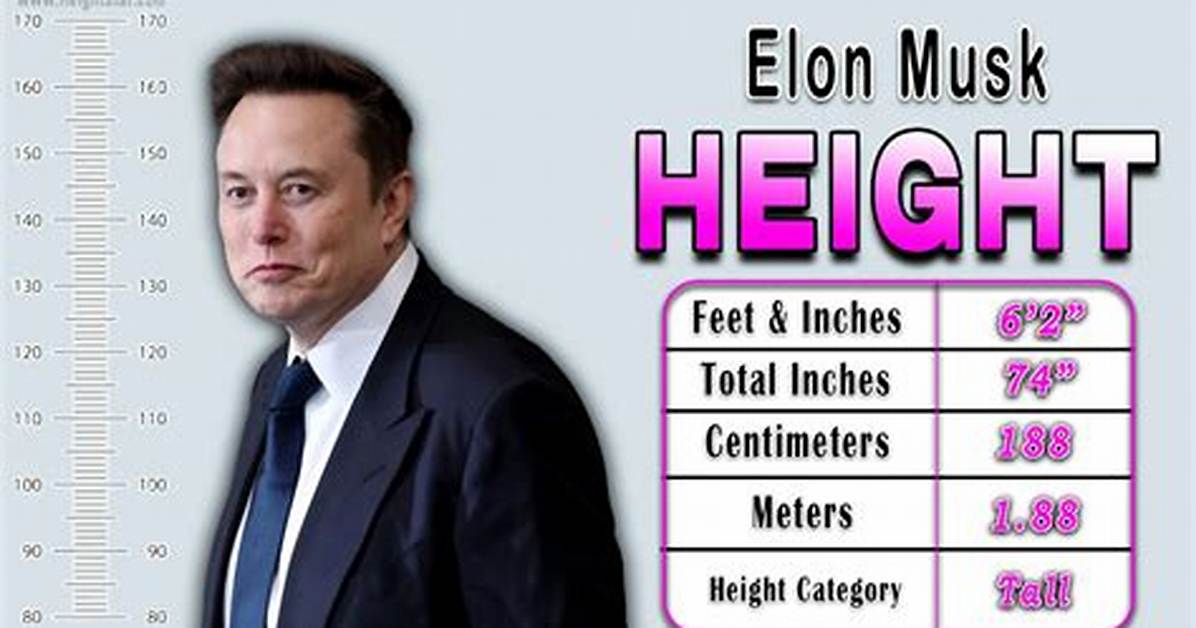 Elon Musk's Height in Feet and Its Surprising Implications