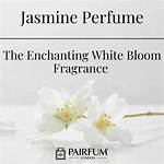 Enchanting Presence: the Allure of Jasmine Bleath