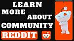 Exploring the Community of "Reddit Protect and Serve"