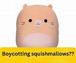 Exploring the Connection: Do Squishmallows Support Israel?