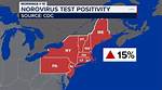 Exploring the Current Stomach Virus Outbreak Map 2024