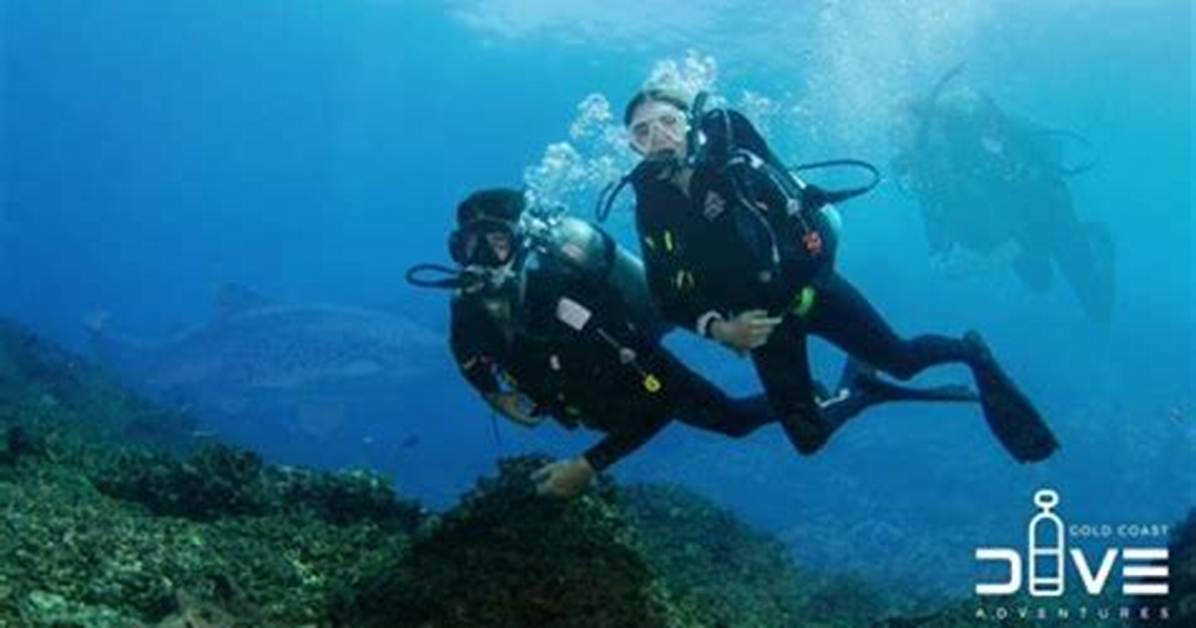 Exploring the Depths with Chelsea Marie Dive Boat