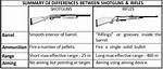 Exploring the Differences Between Handgun and Rifle Ammunition