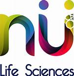 Exploring the Life and Influence of Nu Nu from Atl