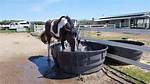 How Do You Keep a Horses Trough from Freezing?