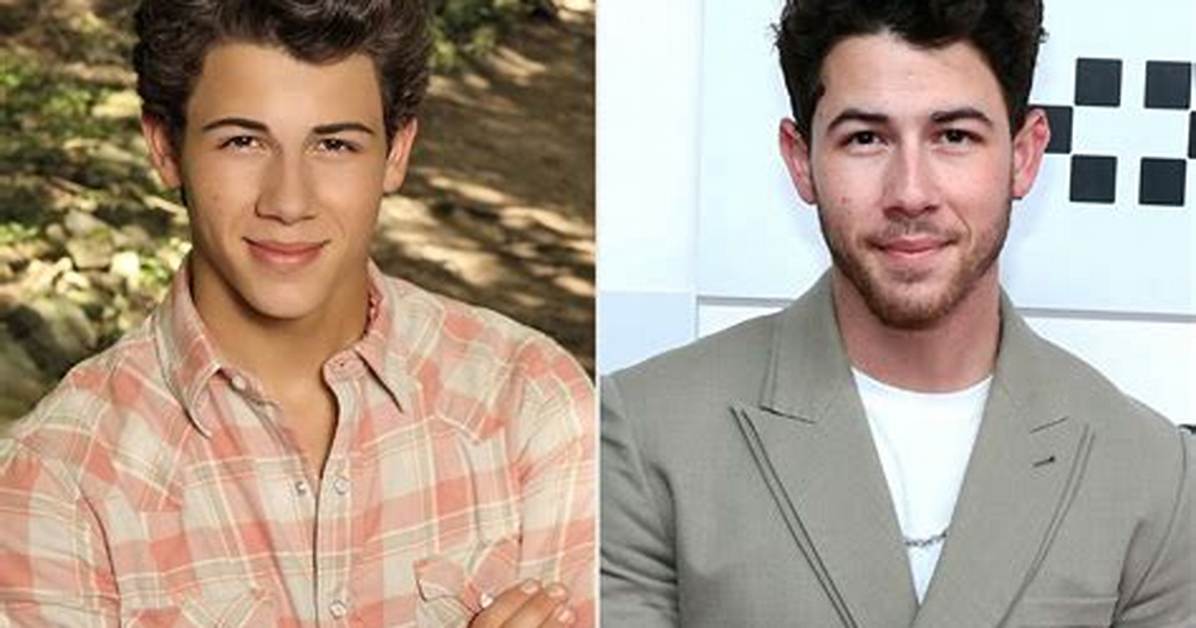 How Tall Is Nick Jonas? 'Camp Rock' Alum Once Hit Back at a Fan for Calling Him 'Short'