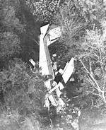Insights into the Dale Marks Flight 46 Obituary