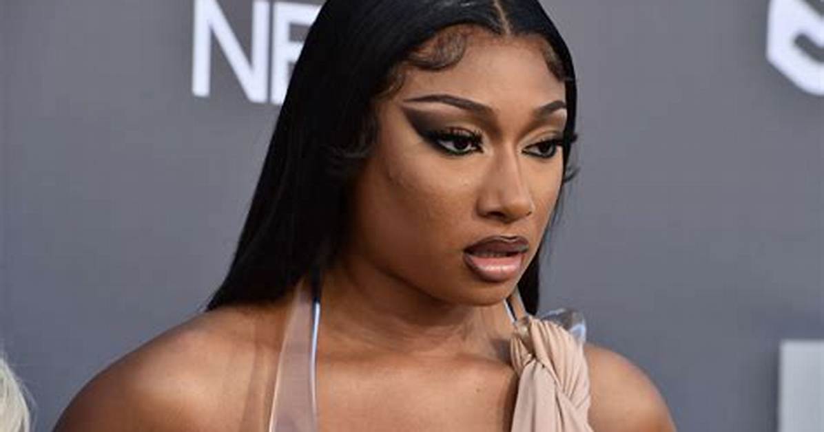 Megan Thee Stallion's Parentage and Ethnic Heritage: a Deep Dive
