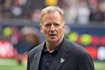 Roger Goodell's Siblings and Their Success