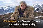 Sue Aikens: a Journey Through the Wild