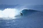 Surprising Revelations for Passionate Surfers