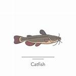 The Demise of a "Catfish" Icon