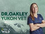 The Inside Scoop: Dr. Oakley Yukon Vet Faces Divorce