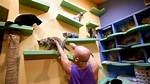 The Internet Is Mourning Tater Tot, a Tiny Beloved Kitten Who Was Found with Four Deformed Legs And