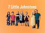 The Little Johnsons: a Journey Through Life and Family