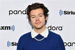 The Truth About Harry Styles' Stature: His Height Revealed in Centimeters