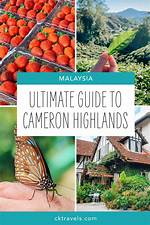 The Ultimate Guide to Cameron from All My Children