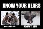 The Unforgettable Cocaine Bear Memes: Hilarious, Viral, and Unforgettable