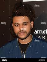 The Weeknd's Religion: Exploring Abel Tesfaye's Spiritual Beliefs