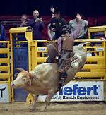 Tuff Hedeman Bodacious: the Legend of Bull Riding