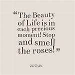 Uncover the Essence of Life with Inspiring "Smelling the Roses" Quotes