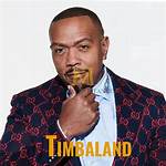 Uncover the Inspiring Journey of Timbaland's Powerhouse Wife, Michelle Dennis