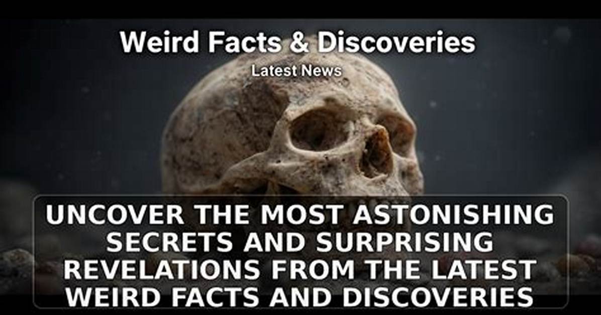 Uncover the Latest on Brandon Lemagne: Discoveries and Insights Await