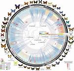 Uncover the Origins of Babytrom: Exploring Its Roots and History