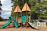 Unlock the Secrets of Suzanne's Playground: Discoveries and Insights