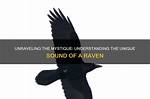 Unraveling the Mystique of the Hoodless Raven Team Leader