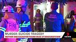 Unraveling the Tragedy: the Murder of Aubreigh Wyatt