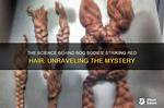 Unraveling the Truth Behind 3 Bodies Found